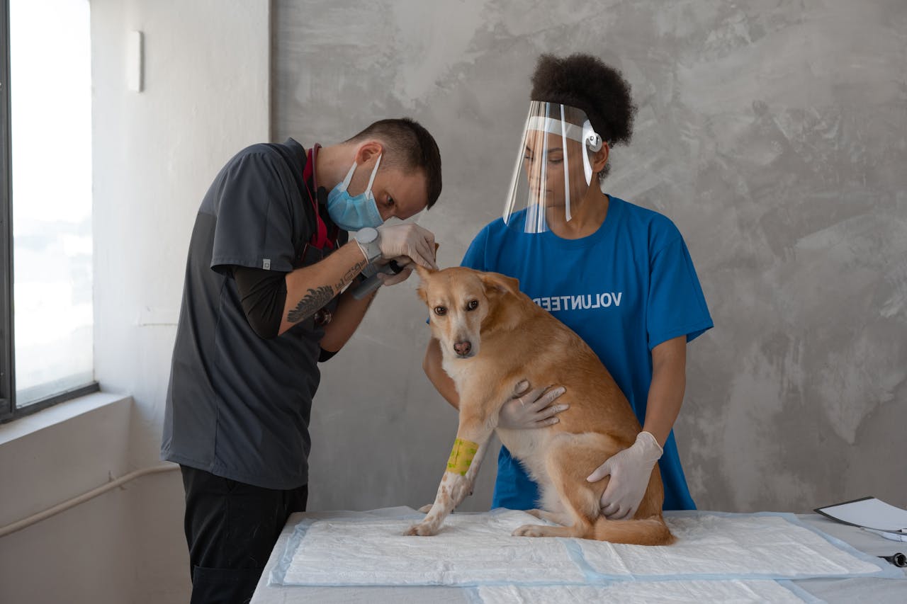 Clínica veterinaria moderna en Barcelona