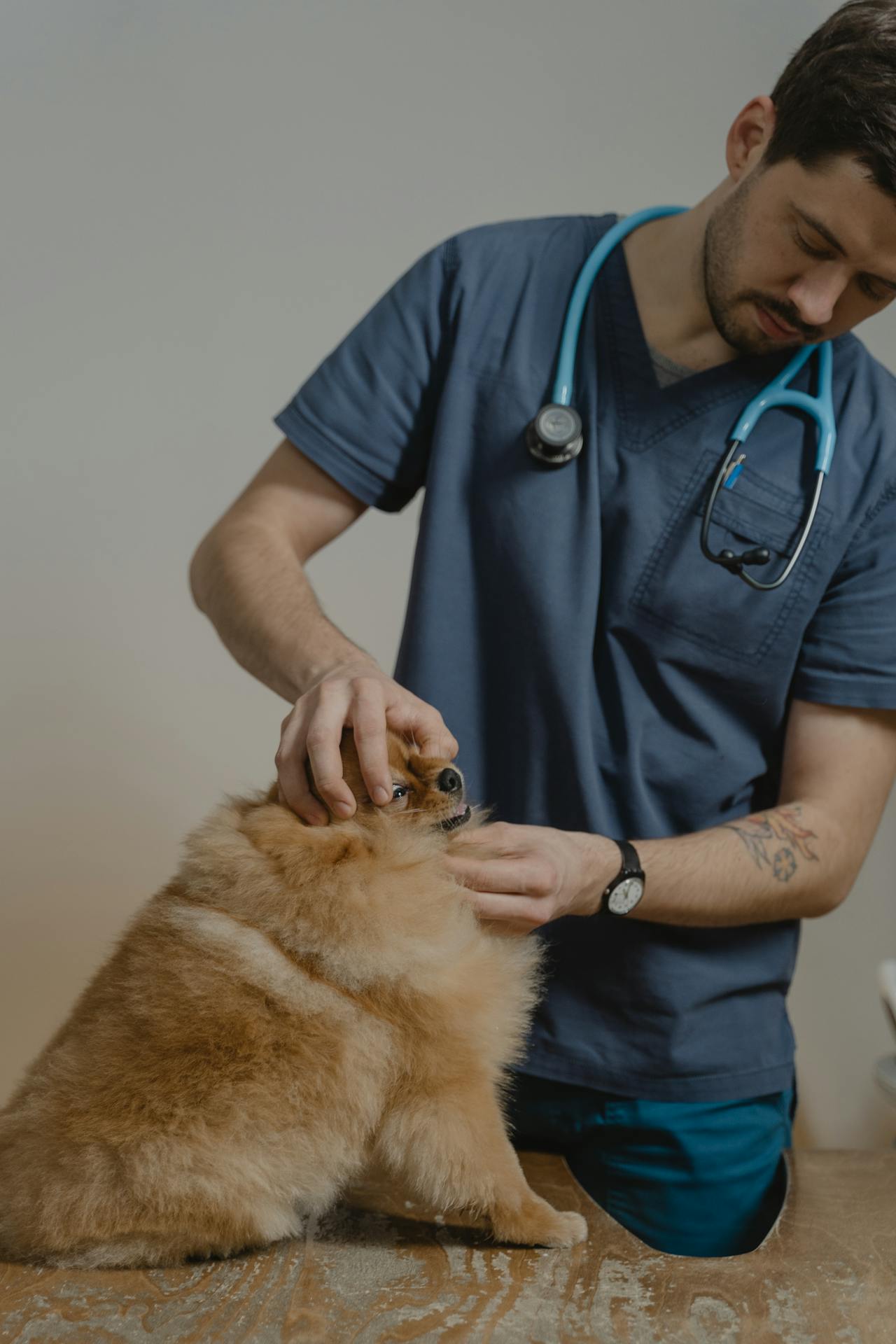 Veterinaria sonriendo con un perro